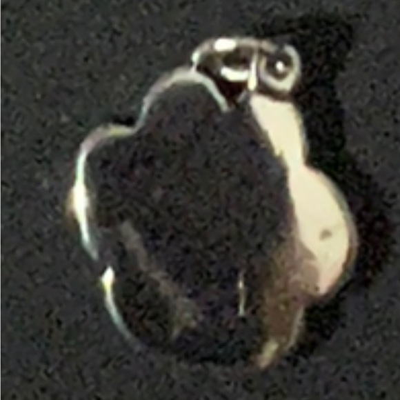 Clemson Tigers Paw Charm or Pendant - Picture 3 of 4